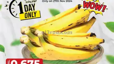 el3rod.com00001