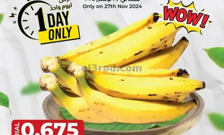 el3rod.com00001