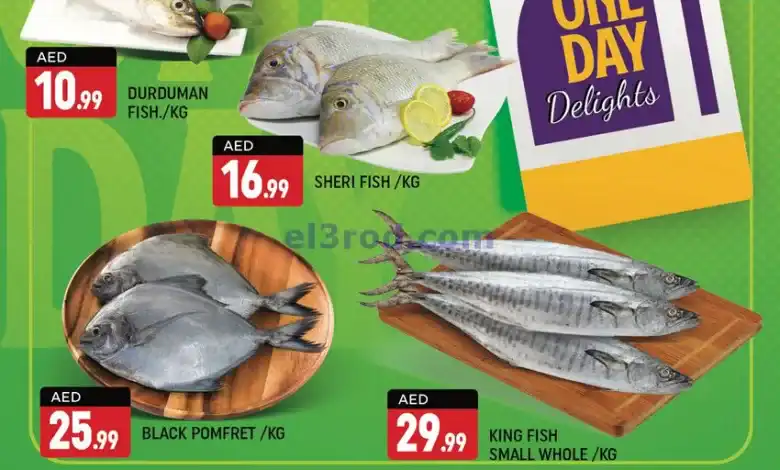 el3rod.com00001