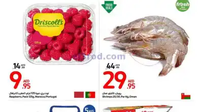 el3rod.com00001