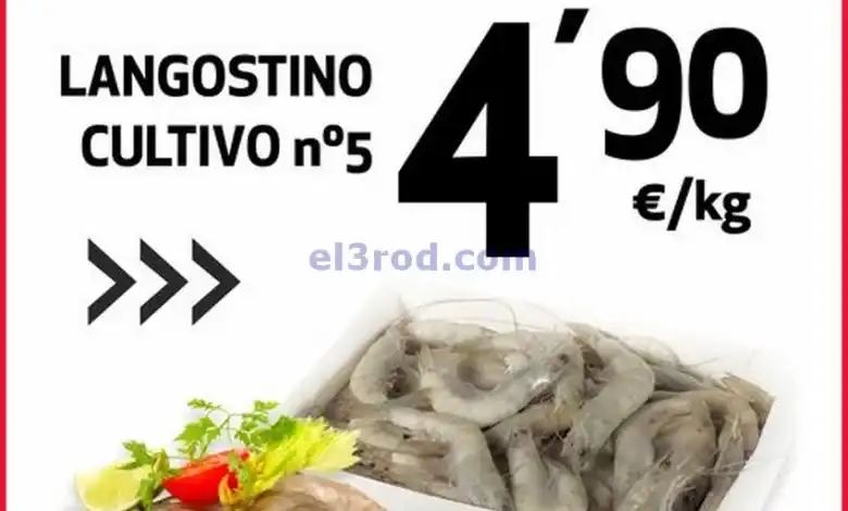 el3rod.com00001