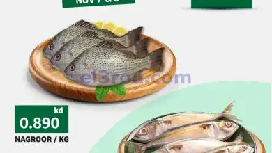 el3rod.com00001