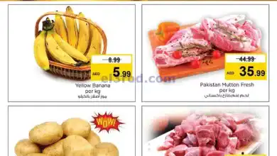 عروض مجلة نستو مويلح الشارقة|10-11-2024|الاحد el3rod.com00001