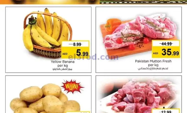 عروض مجلة نستو مويلح الشارقة|10-11-2024|الاحد el3rod.com00001