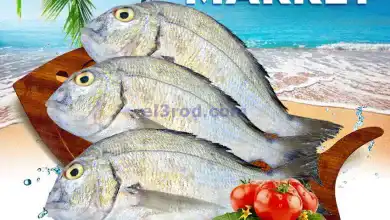 el3rod.com00001