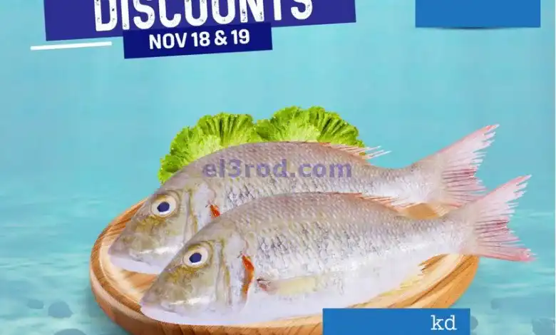 el3rod.com00001