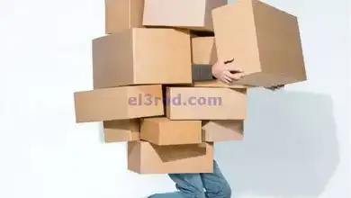 el3rod.com00001