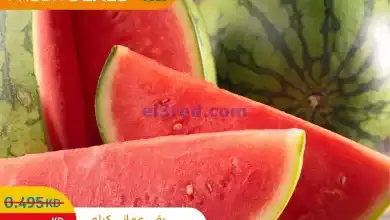 el3rod.com00002
