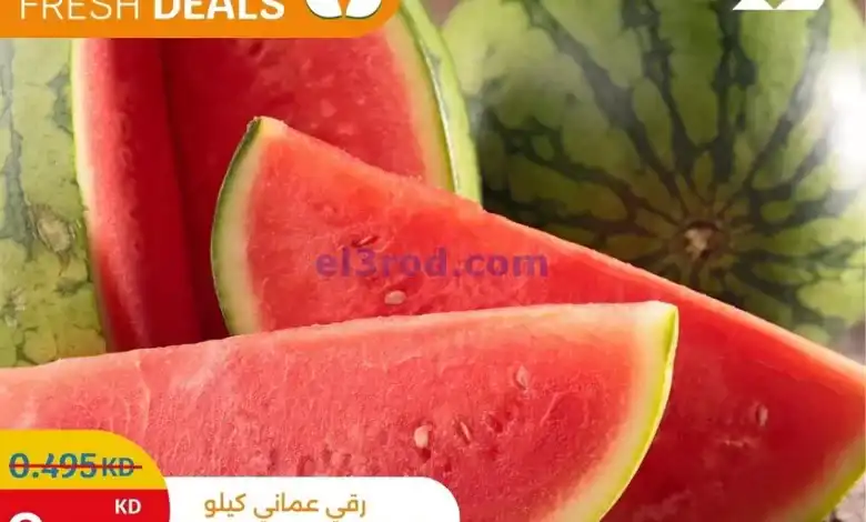 el3rod.com00002