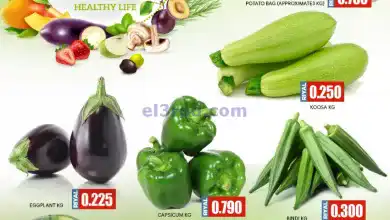 el3rod.com00002