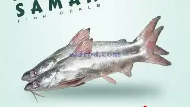 el3rod.com00002
