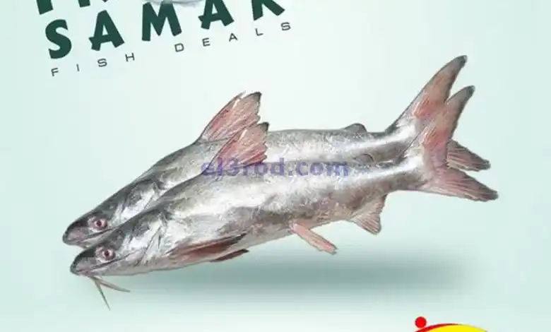 el3rod.com00002
