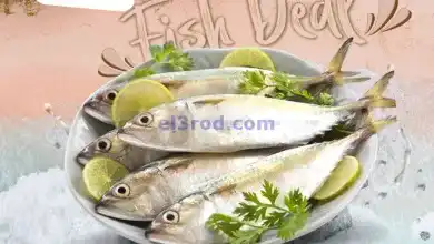 el3rod.com00002
