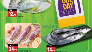 عروض شكلان الامارات|10-11-2024|صيد اليوم el3rod.com00002
