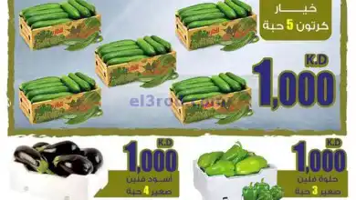 el3rod.com00002