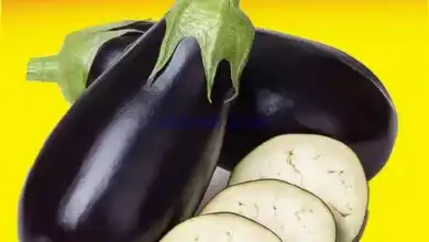 el3rod.com00002