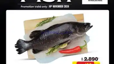 el3rod.com00003