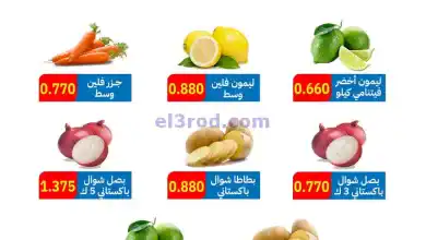 el3rod.com00003