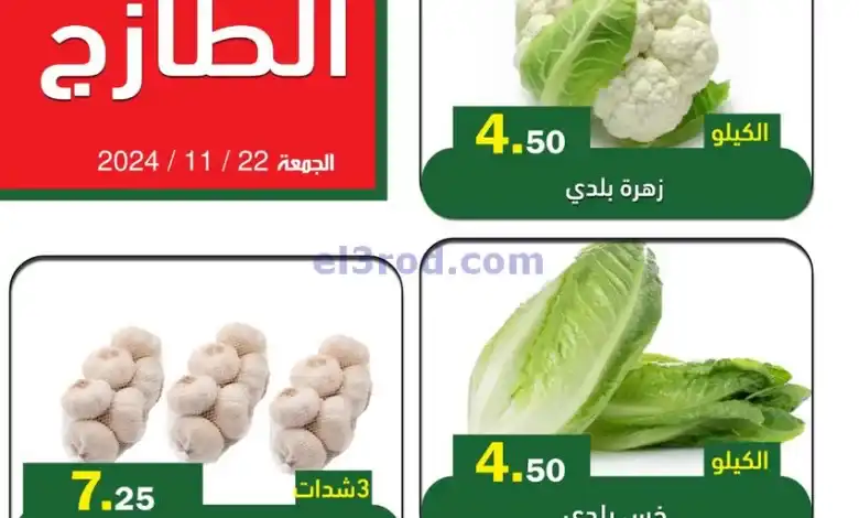el3rod.com00003