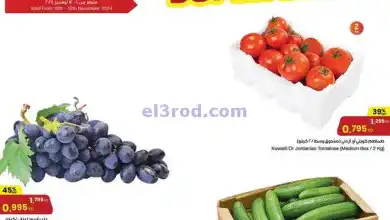 el3rod.com00004