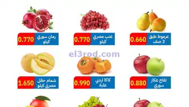 el3rod.com00004