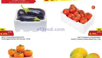 el3rod.com00004