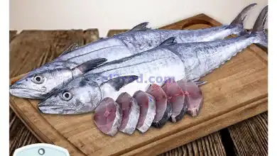 el3rod.com00009