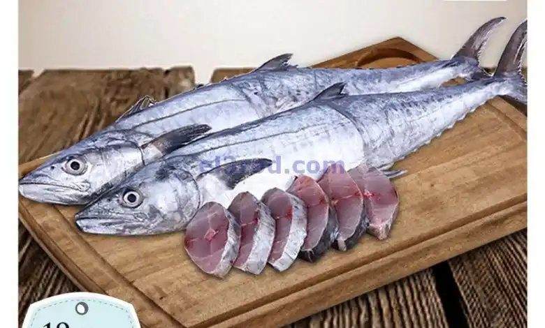 el3rod.com00009