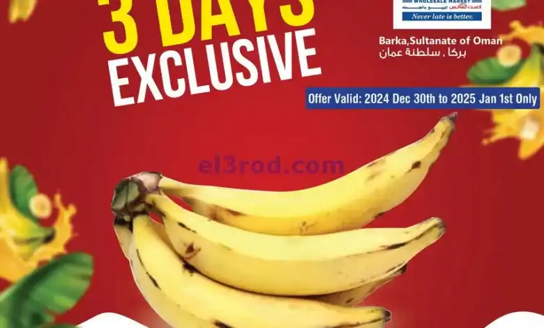 el3rod.com00001