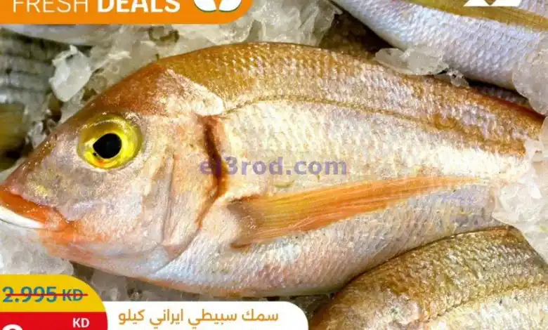 el3rod.com00001
