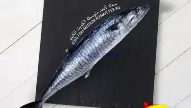 el3rod.com00001