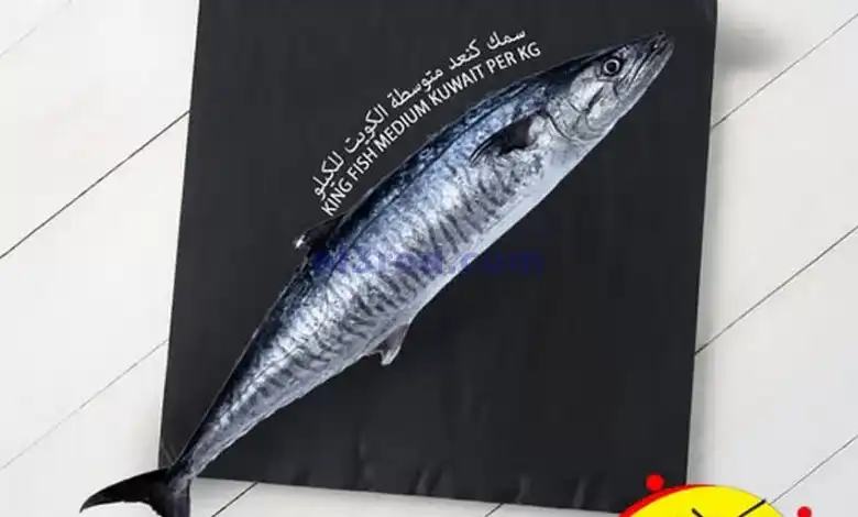 el3rod.com00001