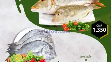 el3rod.com00001