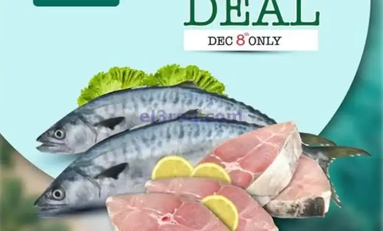 el3rod.com00001