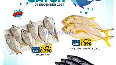 el3rod.com00001