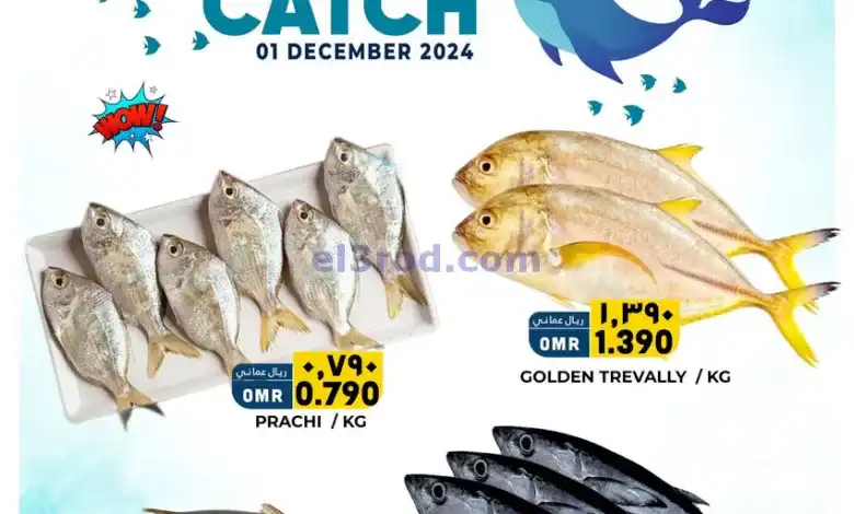 el3rod.com00001