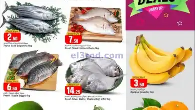 el3rod.com00002