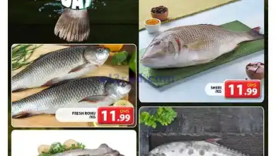 el3rod.com00002
