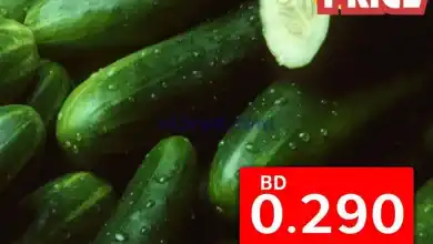 el3rod.com00002