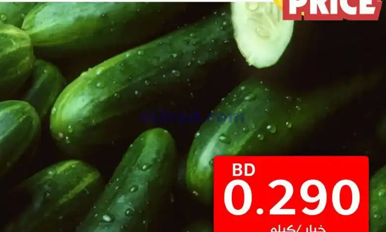 el3rod.com00002