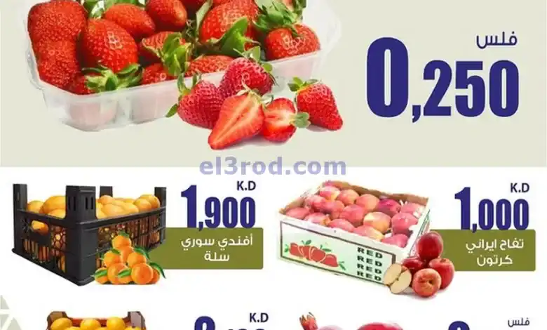 el3rod.com00002