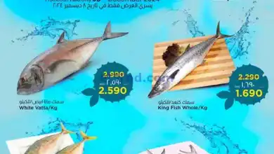 el3rod.com00003