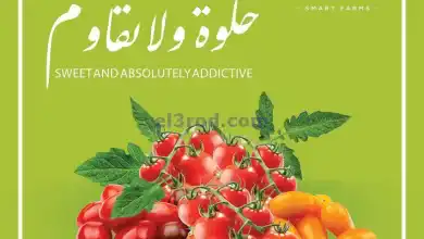 عروض سلطان ماركت الكويت|حتى 14-12-2024|لا تقاوم el3rod.com00003