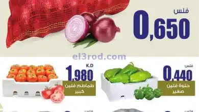 el3rod.com00004