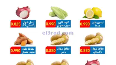 el3rod.com00004