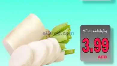 el3rod.com00005