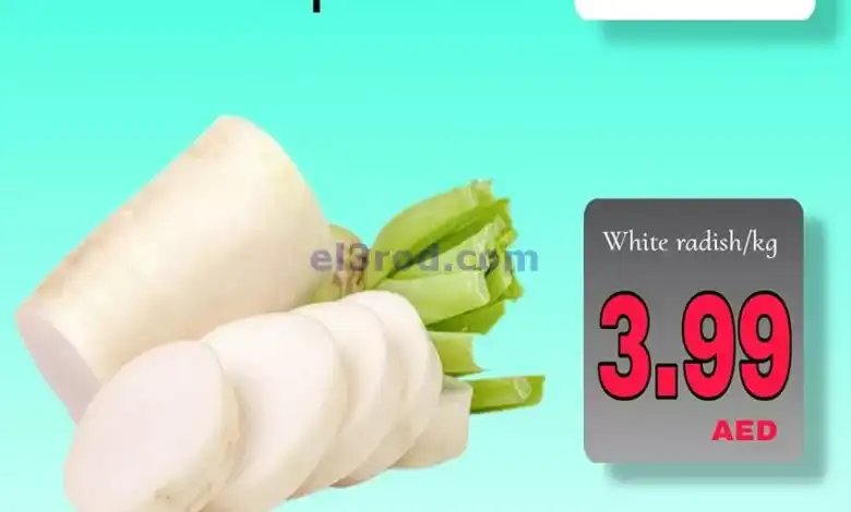 el3rod.com00005
