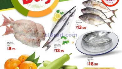 el3rod.com00001