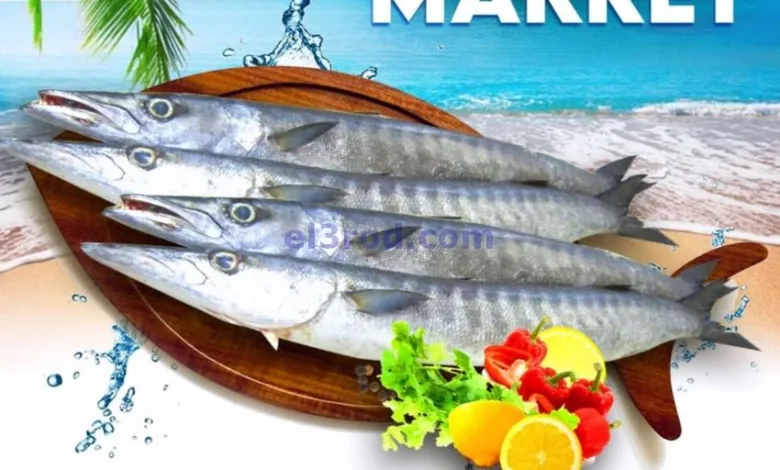 el3rod.com00001