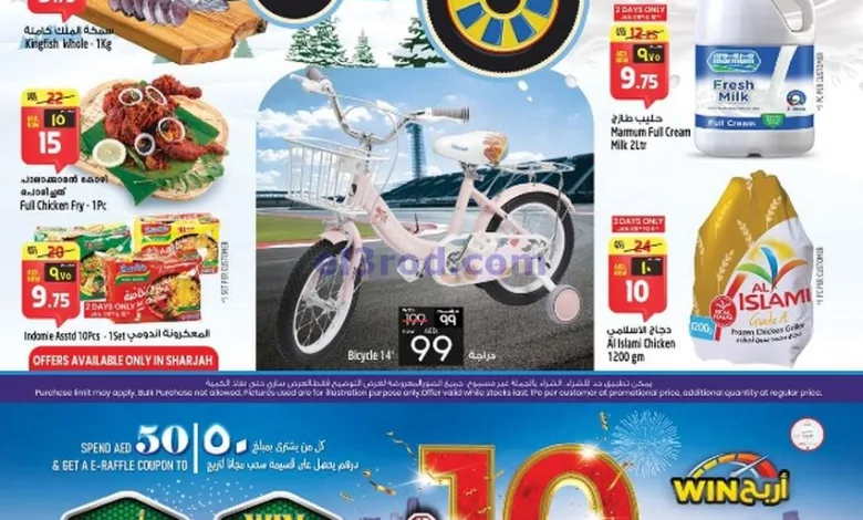 el3rod.com00001
